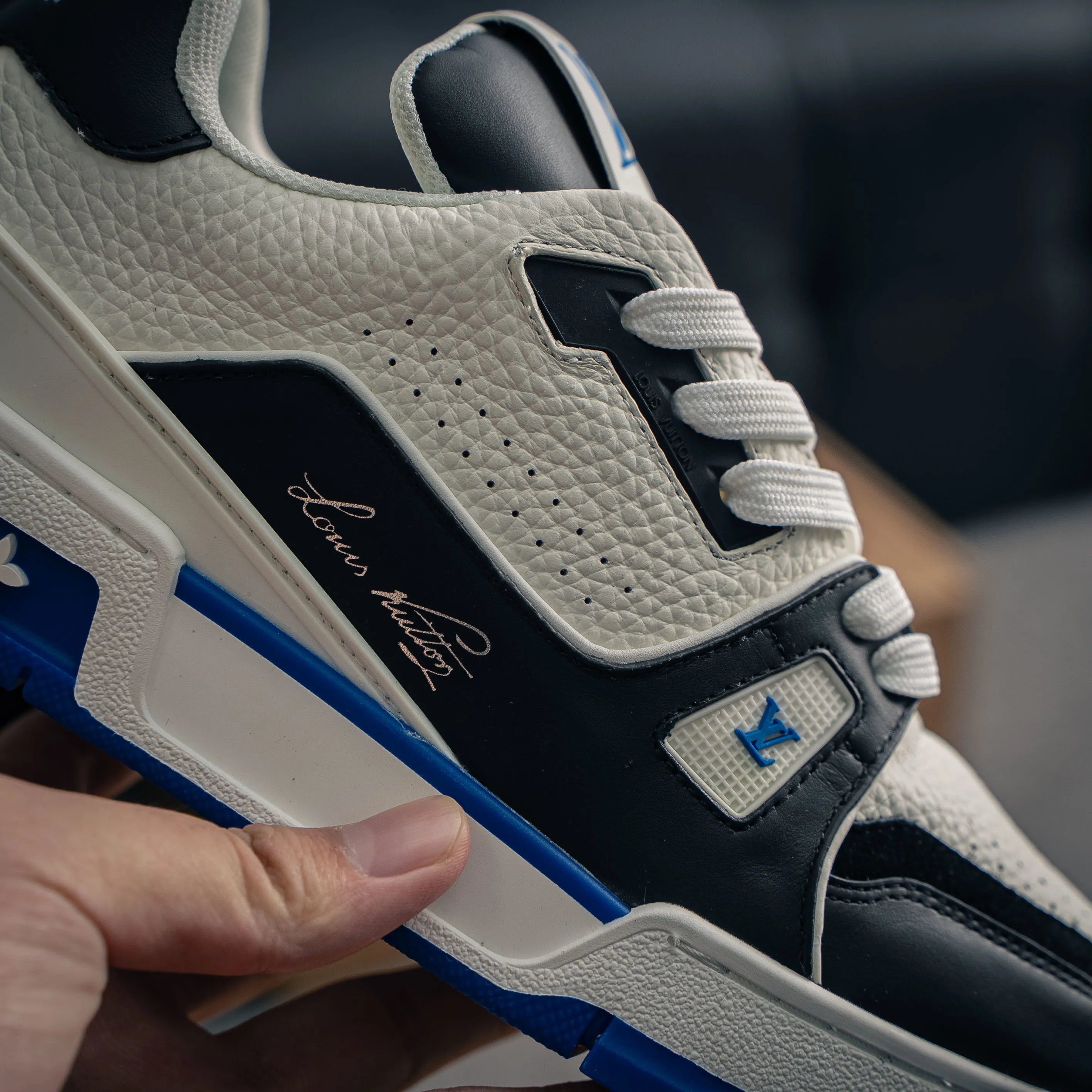 Louis Vuitton Trainer lv Sneakers Shoes Shoes